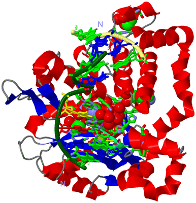 Image Asym./Biol. Unit - sites