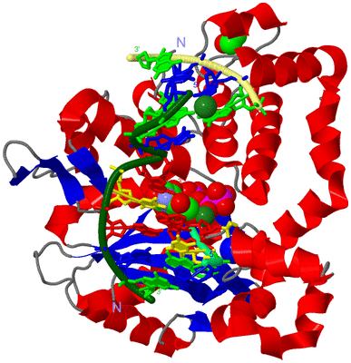 Image Asym./Biol. Unit