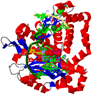 Image Asym./Biol. Unit - sites