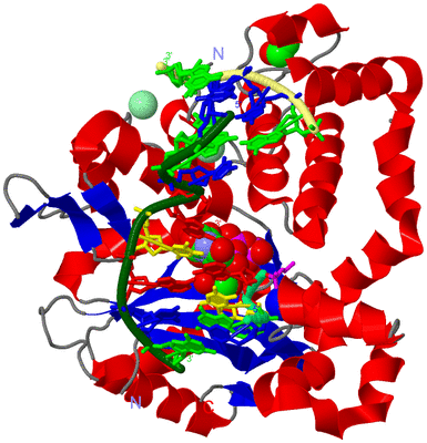 Image Asym./Biol. Unit