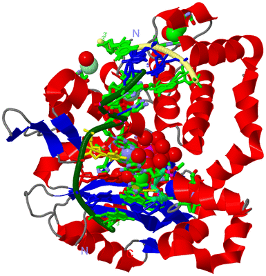 Image Asym./Biol. Unit - sites