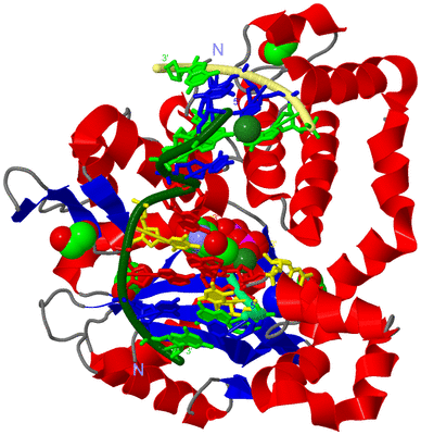 Image Asym./Biol. Unit