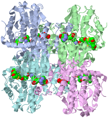 Image Biological Unit 1