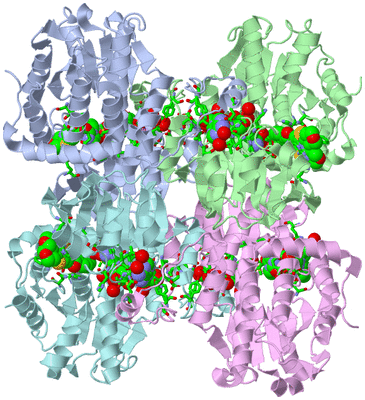 Image Biol. Unit 1 - sites