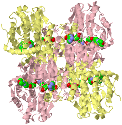 Image Biological Unit 2