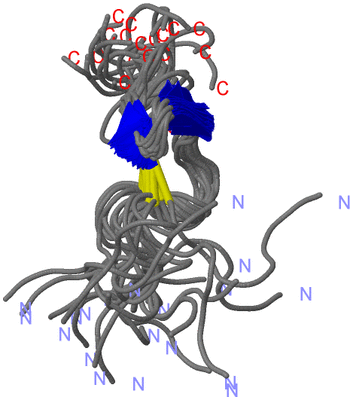 Image NMR Structure - all models