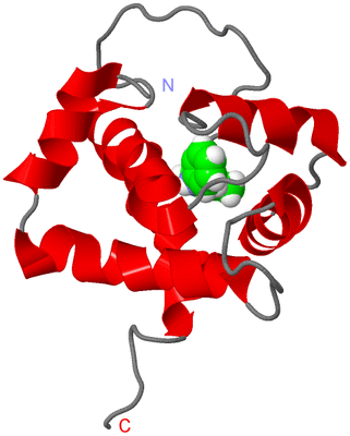 Image NMR Structure - model 1