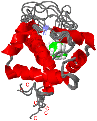 Image NMR Structure - all models