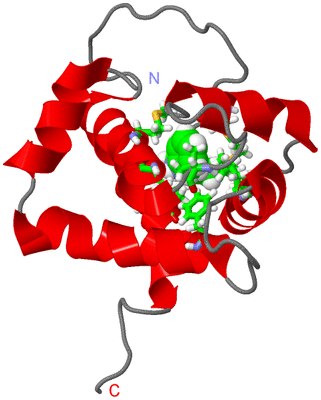 Image NMR Structure - model 1, sites