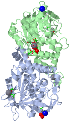 Image Asym./Biol. Unit - sites