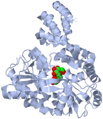 Image Biological Unit 1