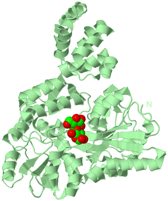 Image Biological Unit 2