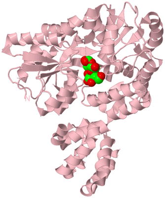 Image Biological Unit 3