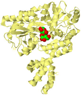 Image Biological Unit 4