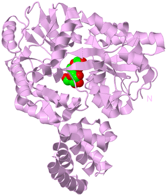 Image Biological Unit 5