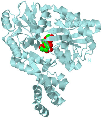 Image Biological Unit 6