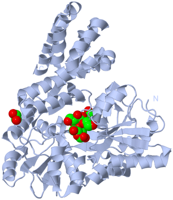 Image Biological Unit 1