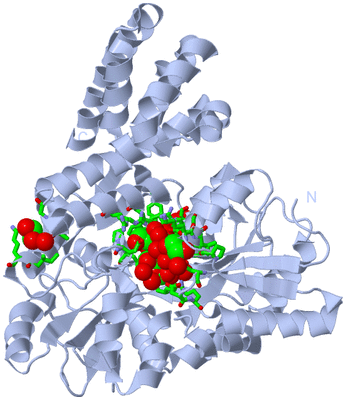 Image Biol. Unit 1 - sites