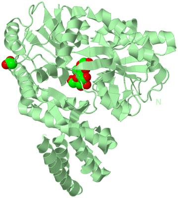 Image Biological Unit 2