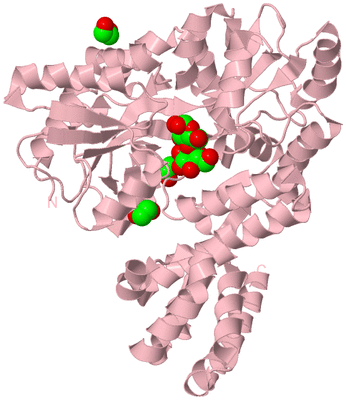 Image Biological Unit 3