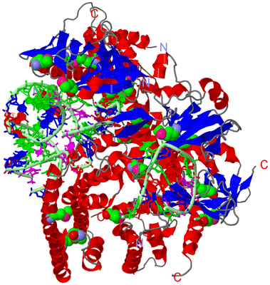 Image Asym./Biol. Unit