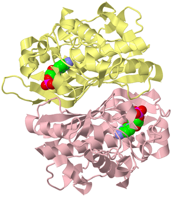 Image Biological Unit 2