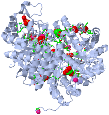 Image Biol. Unit 1 - sites