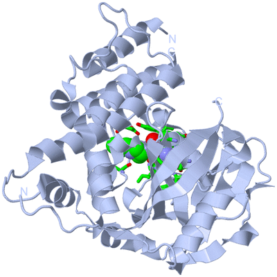 Image Biol. Unit 1 - sites