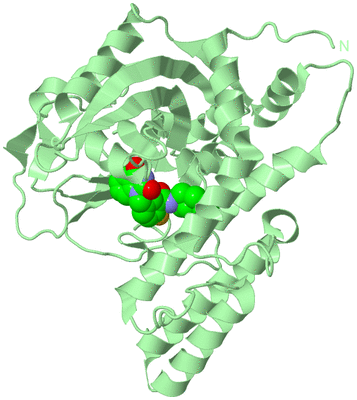 Image Biological Unit 2