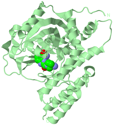 Image Biological Unit 2