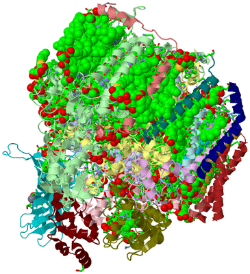 Image Biol. Unit 1 - sites