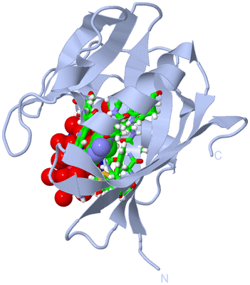 Image Biol. Unit 1 - sites