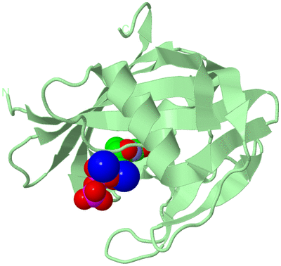 Image Biological Unit 2