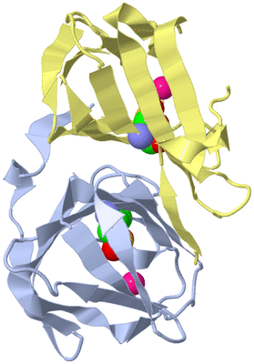 Image Biological Unit 1