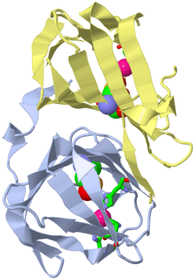 Image Biol. Unit 1 - sites