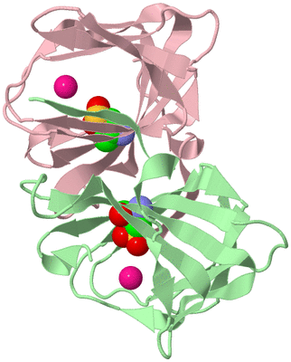 Image Biological Unit 2