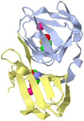 Image Biological Unit 1