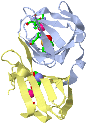 Image Biol. Unit 1 - sites