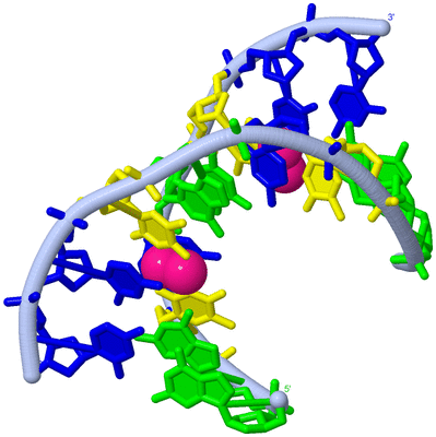 Image Biological Unit 1