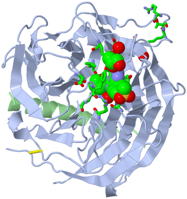 Image Asym./Biol. Unit - sites