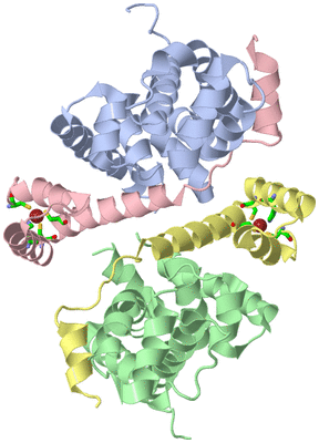 Image Asym. Unit - sites