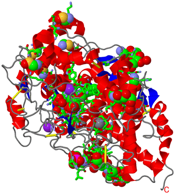 Image Asym./Biol. Unit - sites