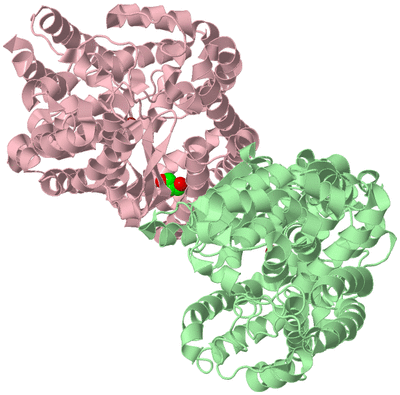 Image Biological Unit 2