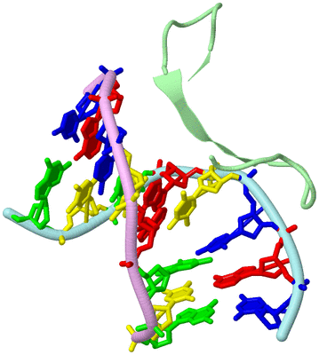 Image Biological Unit 2