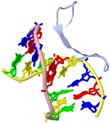 Image Biological Unit 1