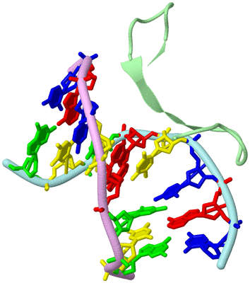 Image Biological Unit 2