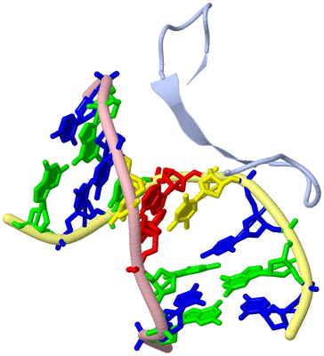 Image Biological Unit 1