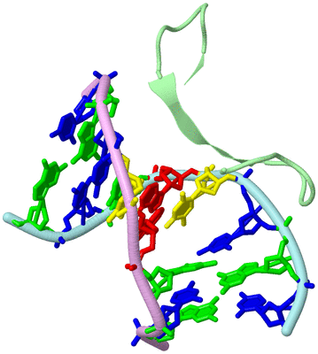 Image Biological Unit 2