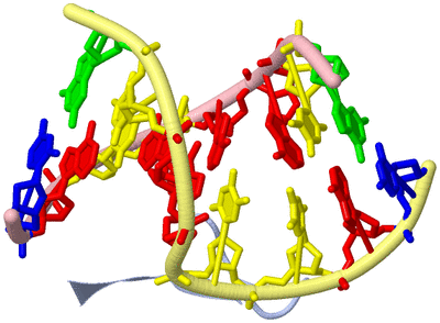 Image Biological Unit 1