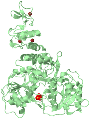 Image Biological Unit 1